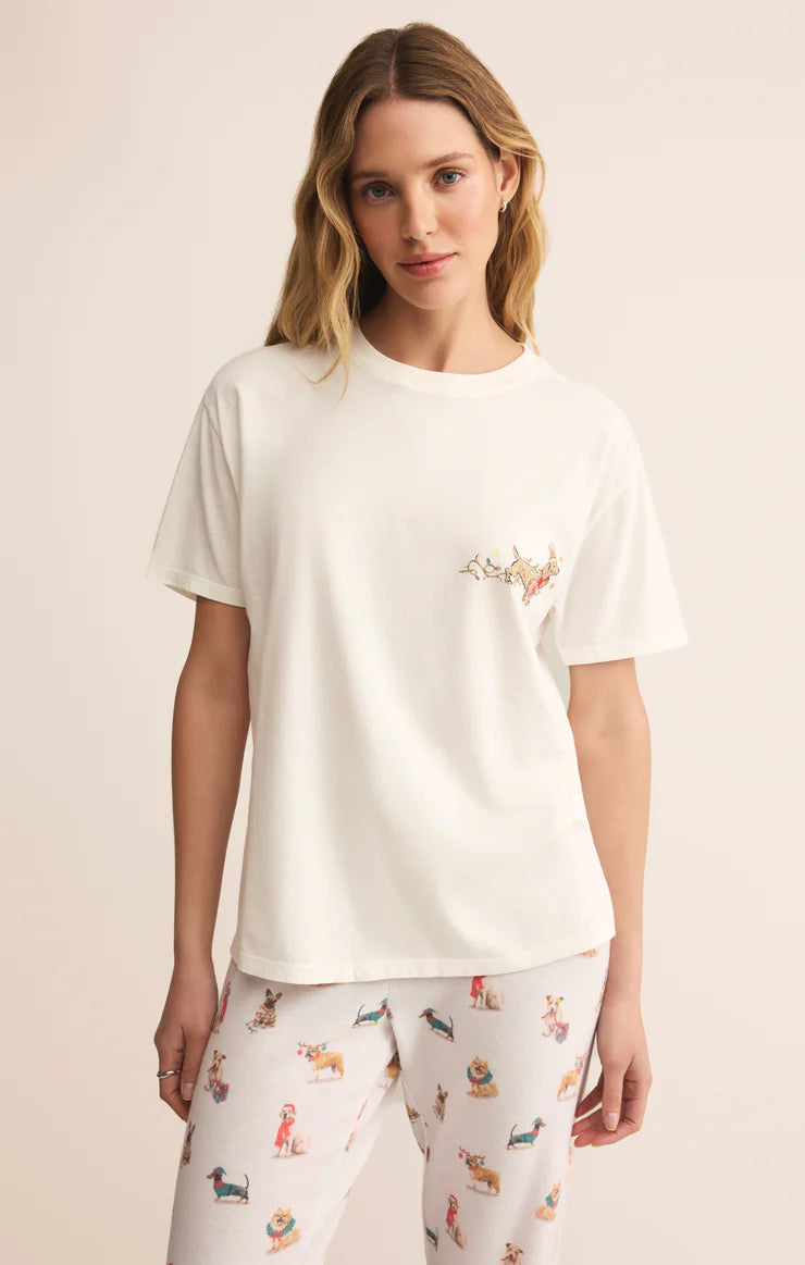 Z SUPPLY Bestie Boyfriend Tee in sea salt