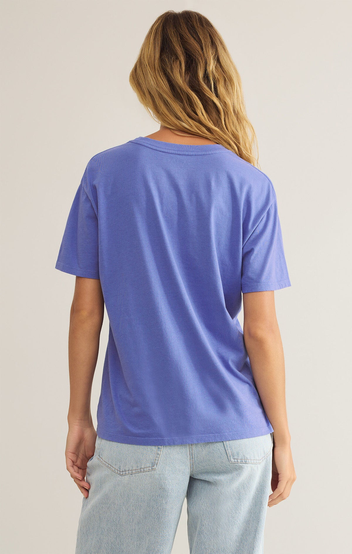 Z SUPPLY Good Things Boyfriend Tee in sky blue-back