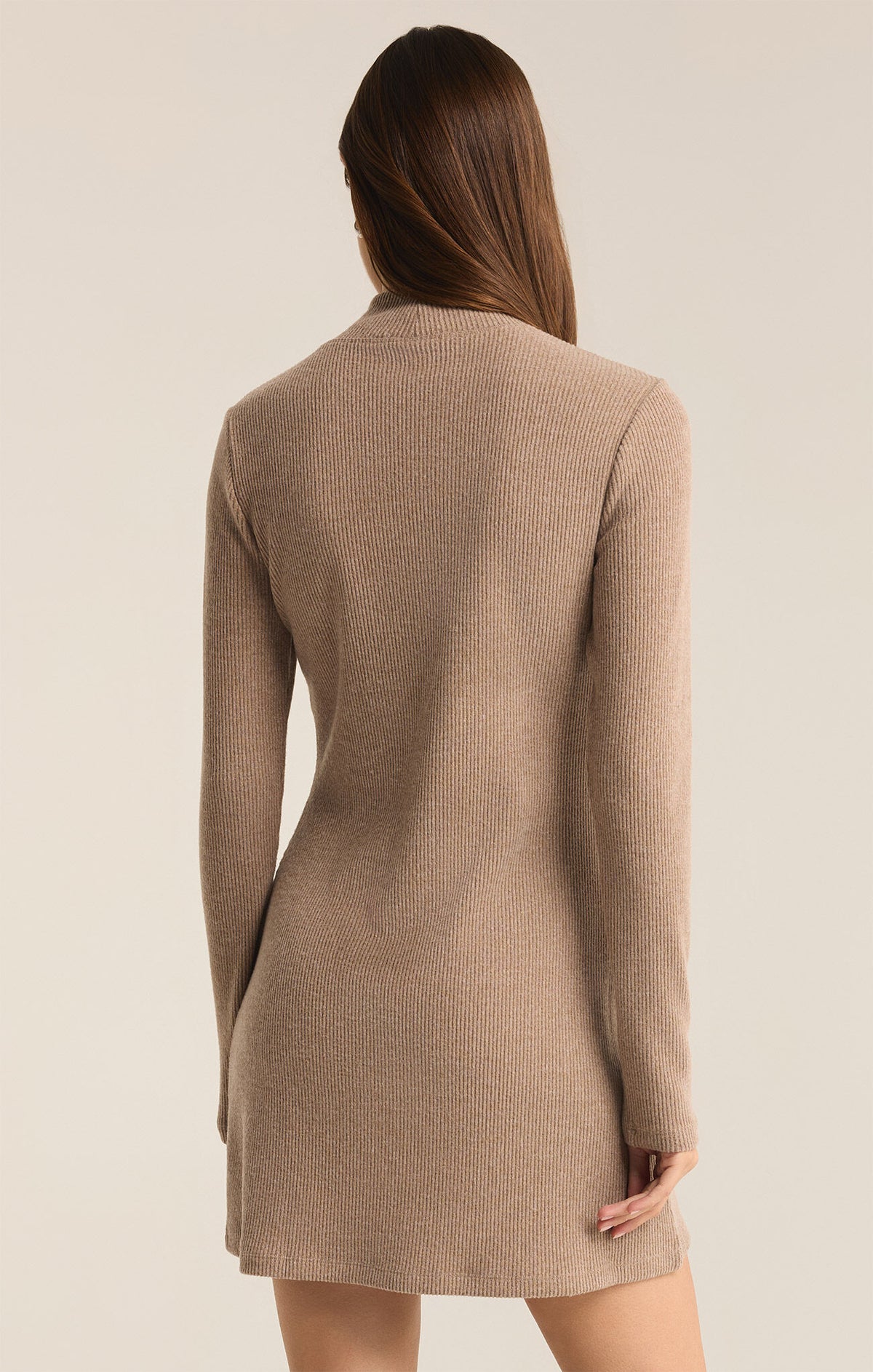 Z SUPPLY Nadene Mock Neck Mini Dress in chai-back