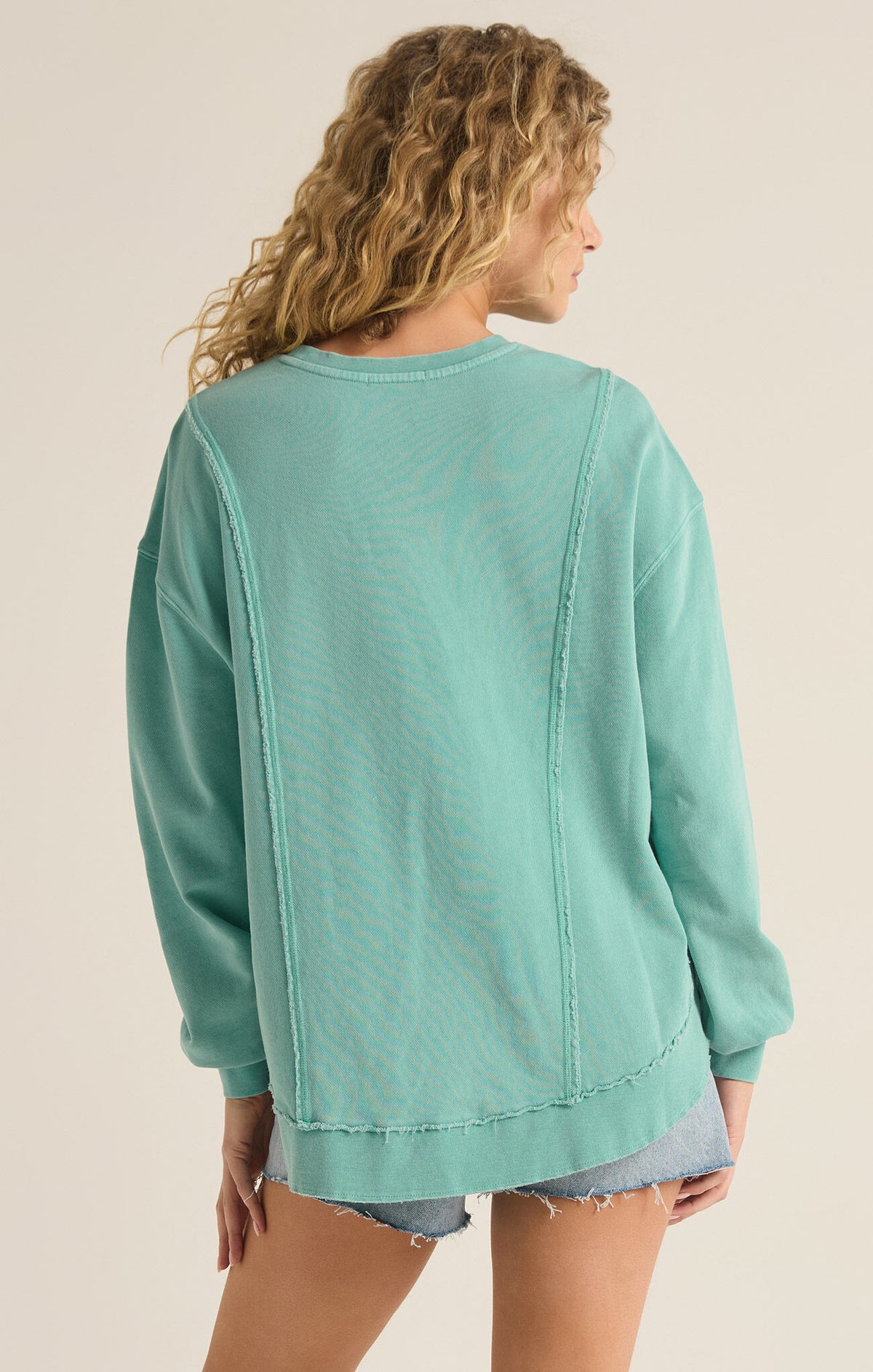 z supply relay sweatshirt in tide pool-back