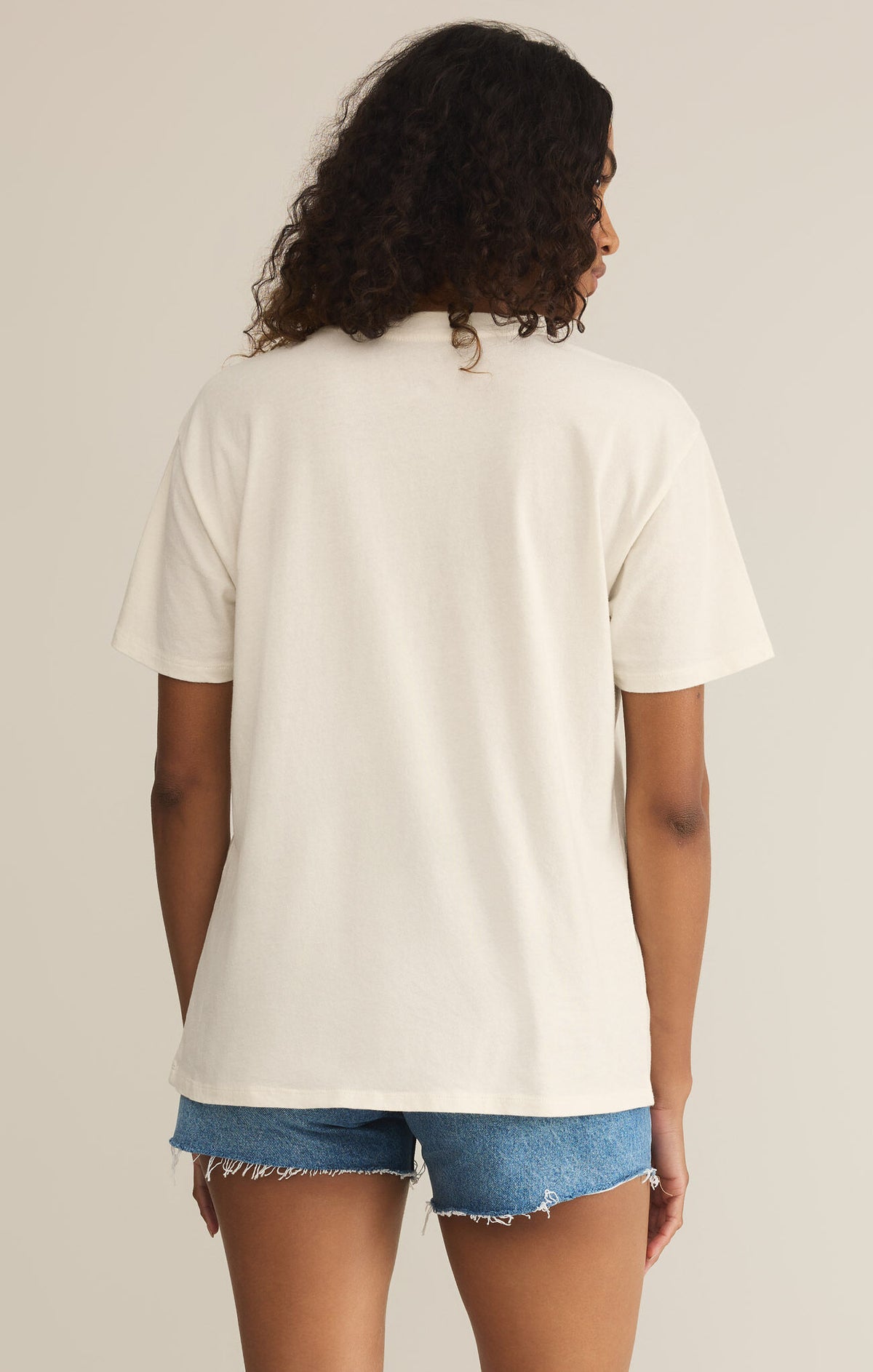 Z SUPPLY Vino Boyfriend Tee in sea salt-back